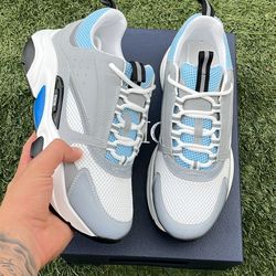 Dior B22