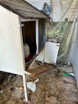Bunny hutch