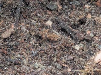 *Sealed* BIOACTIVE SUBSTRATES AND REPTILE ACCESSORIES