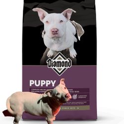 B(_)LL¥   P(_)p$ FREE