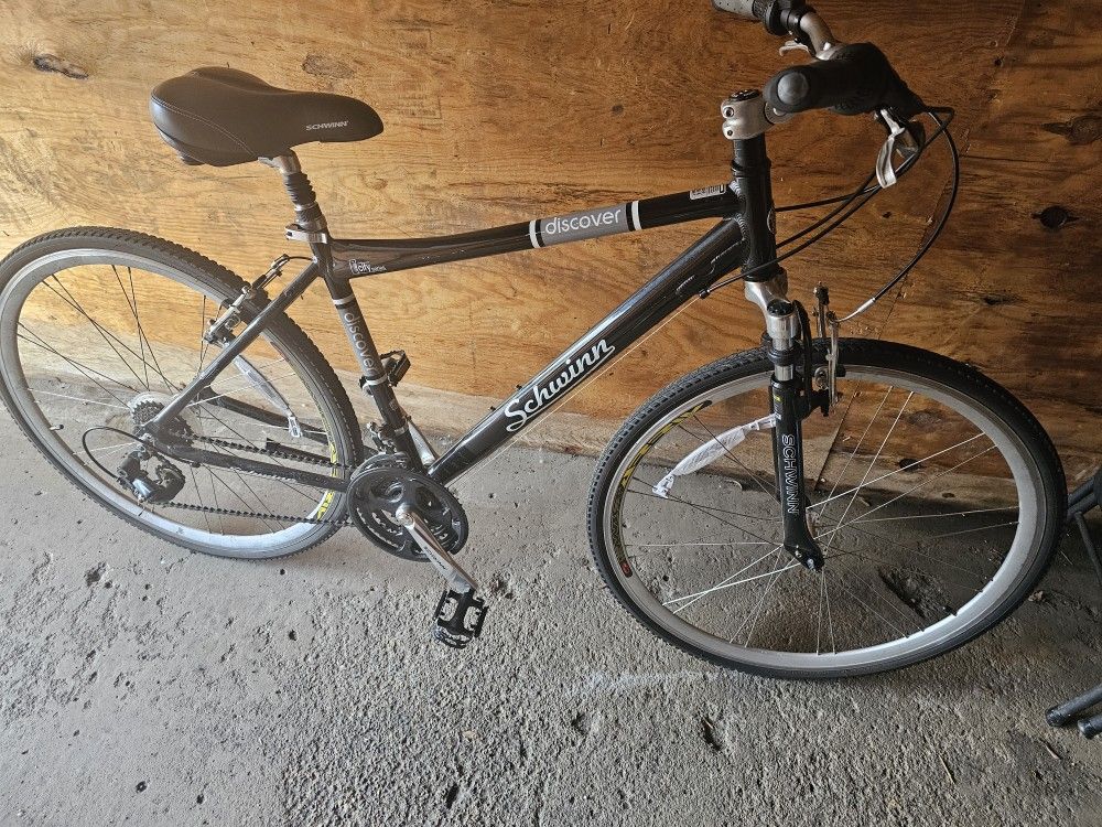 Schwinn Bike Adult Size 