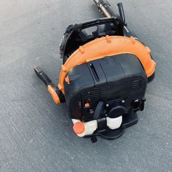 Echo Commercial Gas Blower 