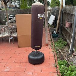Everlast Cardio Strike Bag 