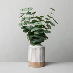 Brand new Faux Eucalyptus Arrangement - Hearth & Hand with Magnolia: Indoor Greenery in Ceramic Pot