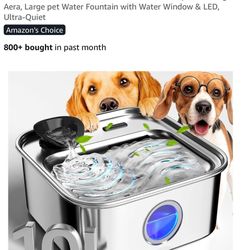 Dog Fountain 