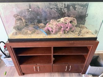 100 Gallon Aquarium Setup – Fluval 407 Filter, Stand, LED Light & Accessories