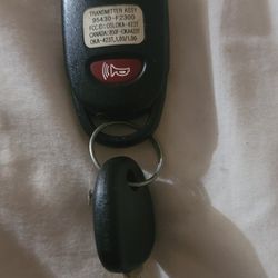 Misc Car Alarm Remotes