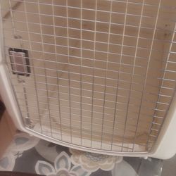 Dog Cage 