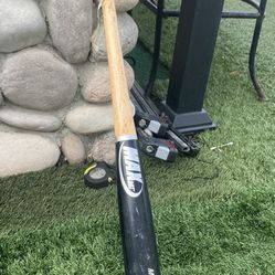 Bat 