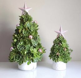 Christmas centerpiece succulent artificially, adorno suculentas navidad