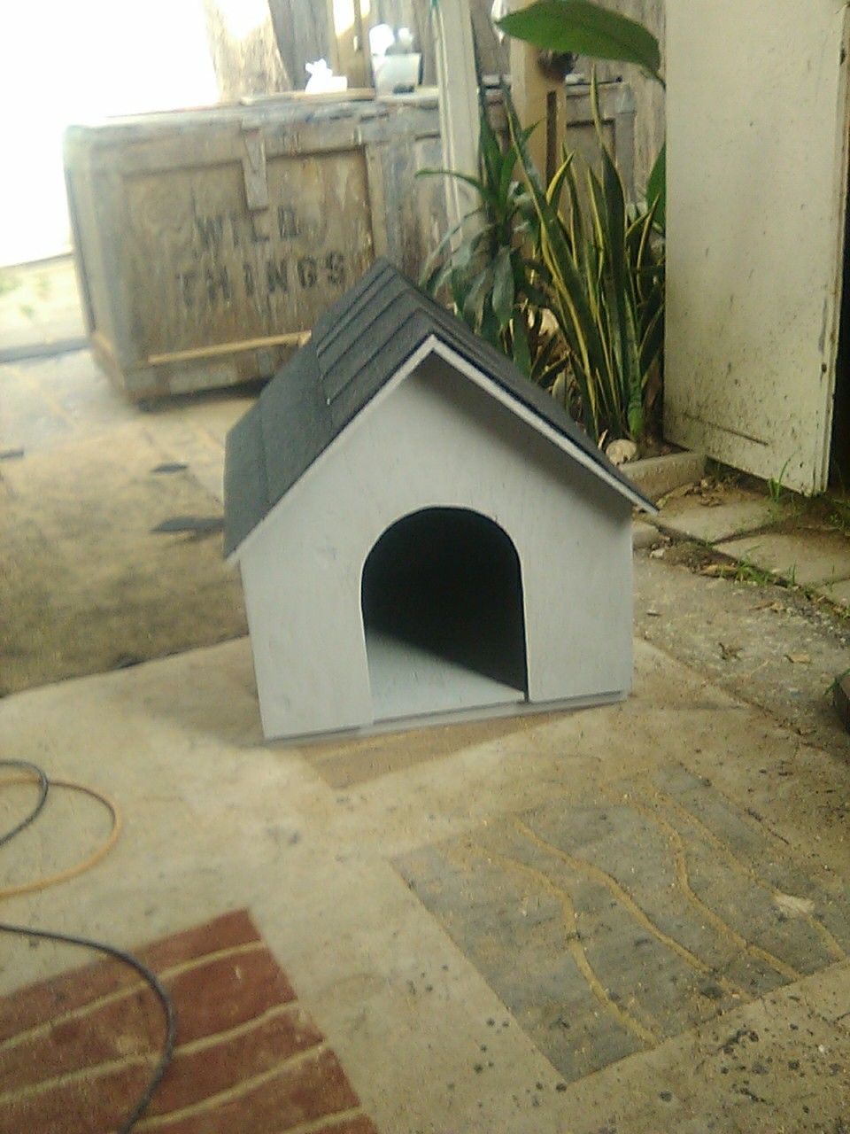 New wood dog house
