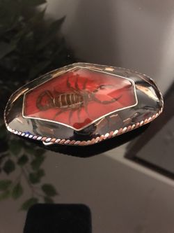 Buckle for belt real scorpion rare