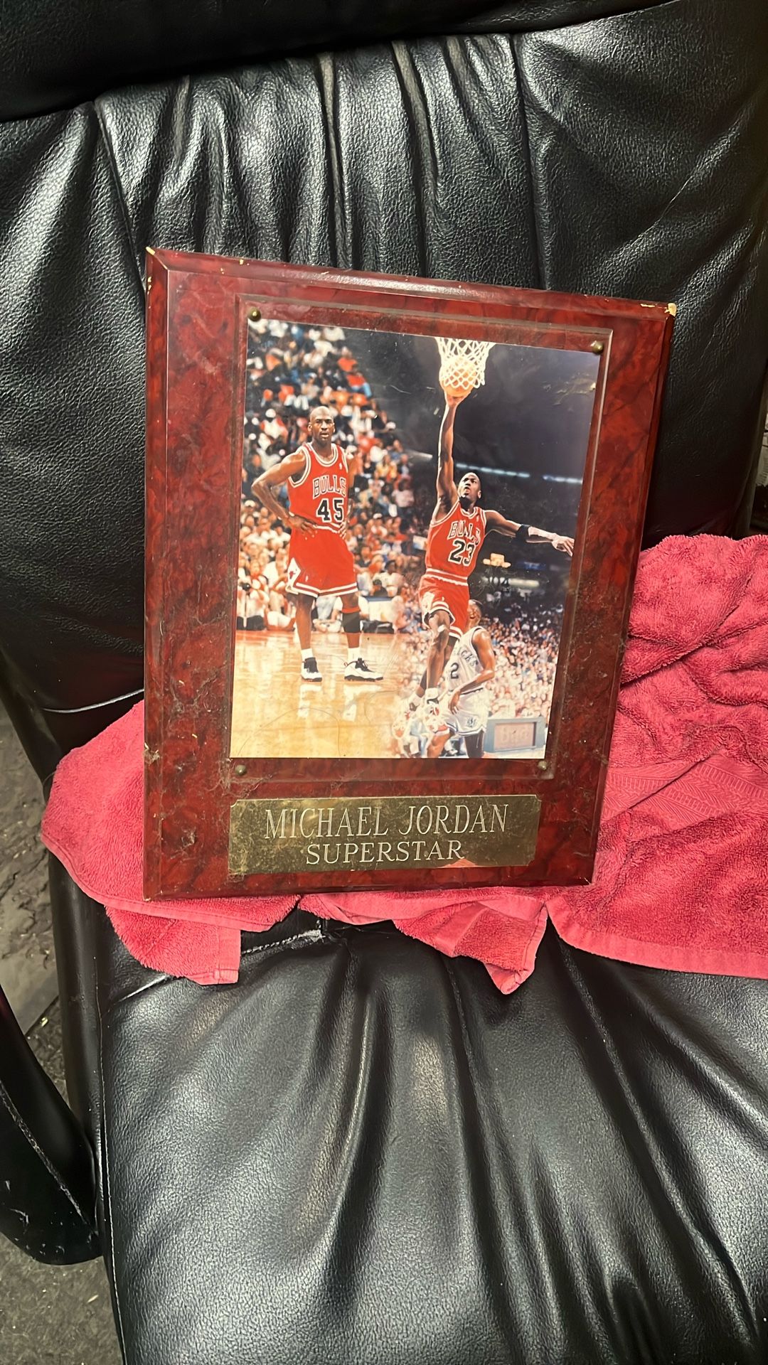 Michael Jordan Plaque 
