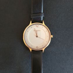Skagen Anita Gold-Tone Watch (SKW2472) – Black Leather Strap, New Battery