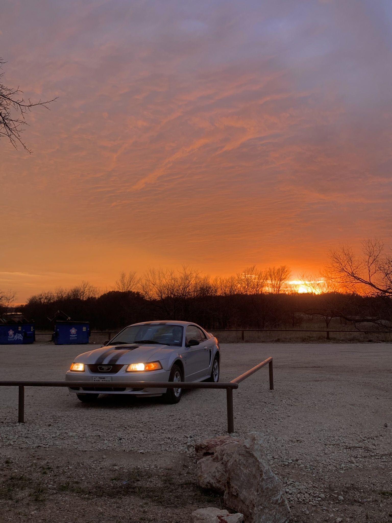 2000 Ford Mustang