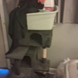 Cat Tree  With  Assorted  Cat Supplies 