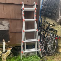 Little Giant Multi Ladder