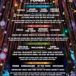 GA Electric Forest Wrist Bands, 2 Passes