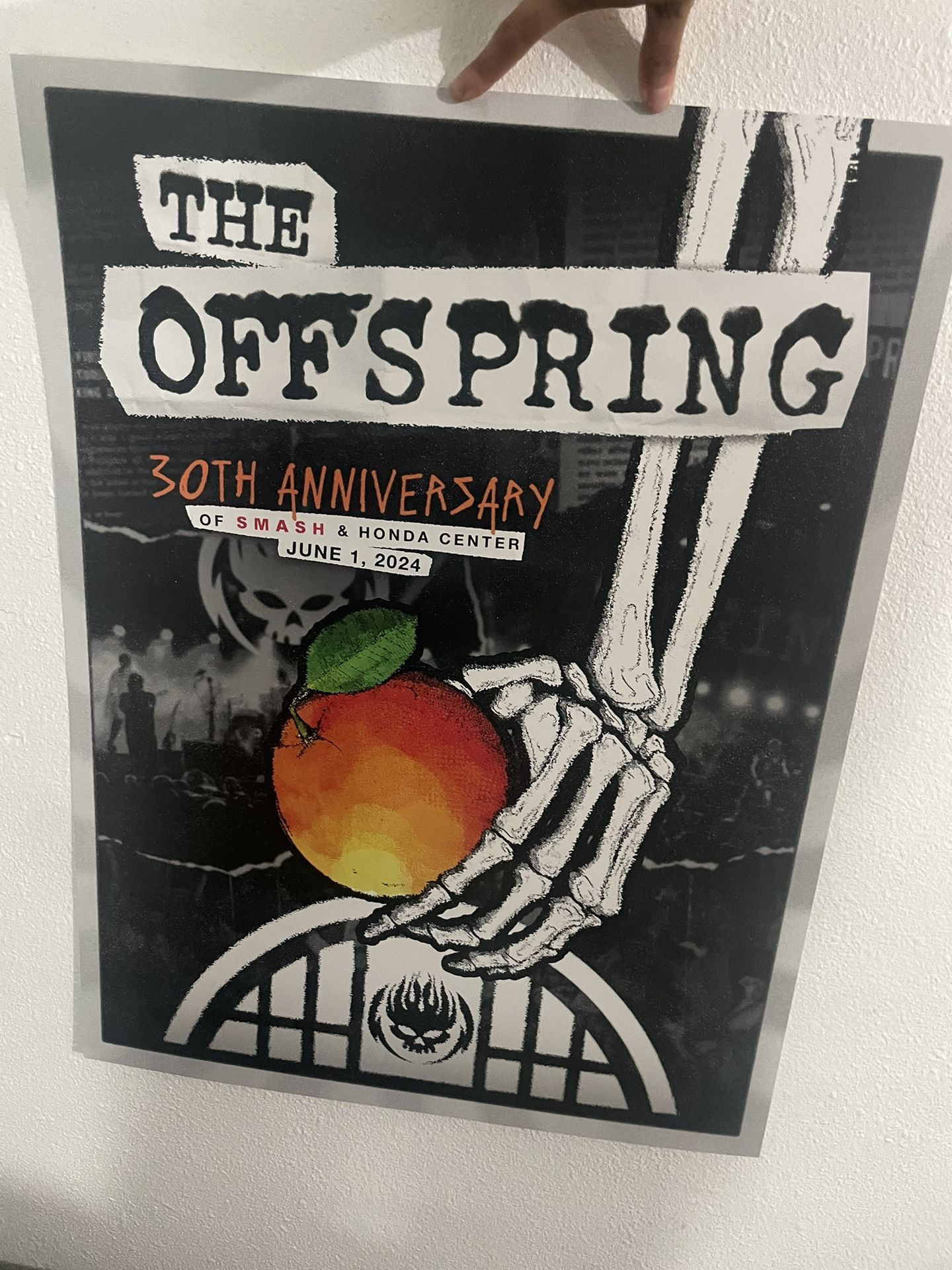 Official The Offspring Poster 30th Anniversary SMASH