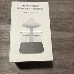 Aroma Diffuser Rain Cloud Humidifier 
