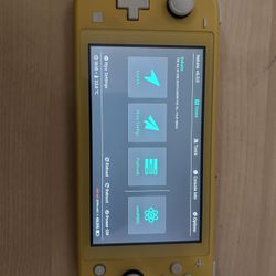 Nintendo Switch Lite 