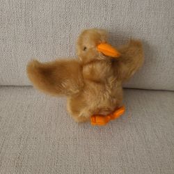 Alresford Duck