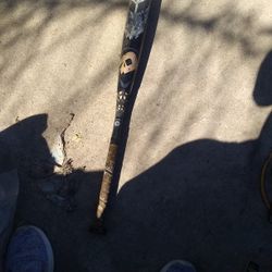 Demarini Voodoo Overlord