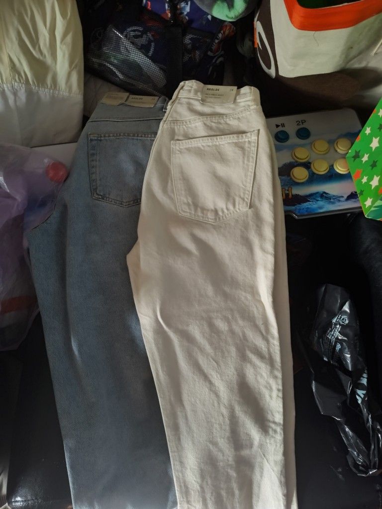 Agolde 90's Pinch Waist High Rise Straight