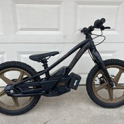 Harley Davidson Stacyc 18 E Brushless Electric Bike