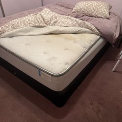Queen Mattress & Box Spring FREE 