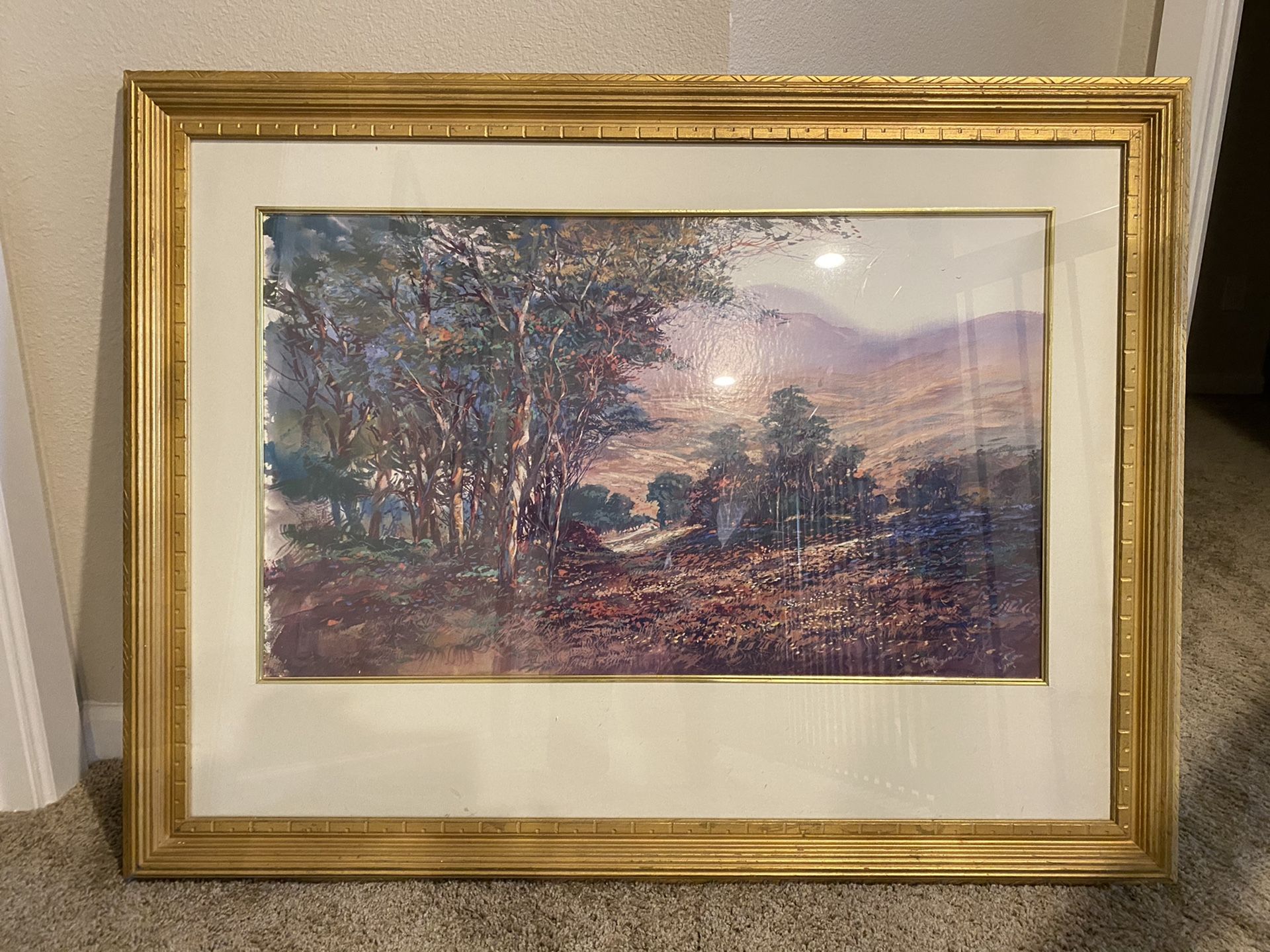 Beautiful framed canvas in great condition