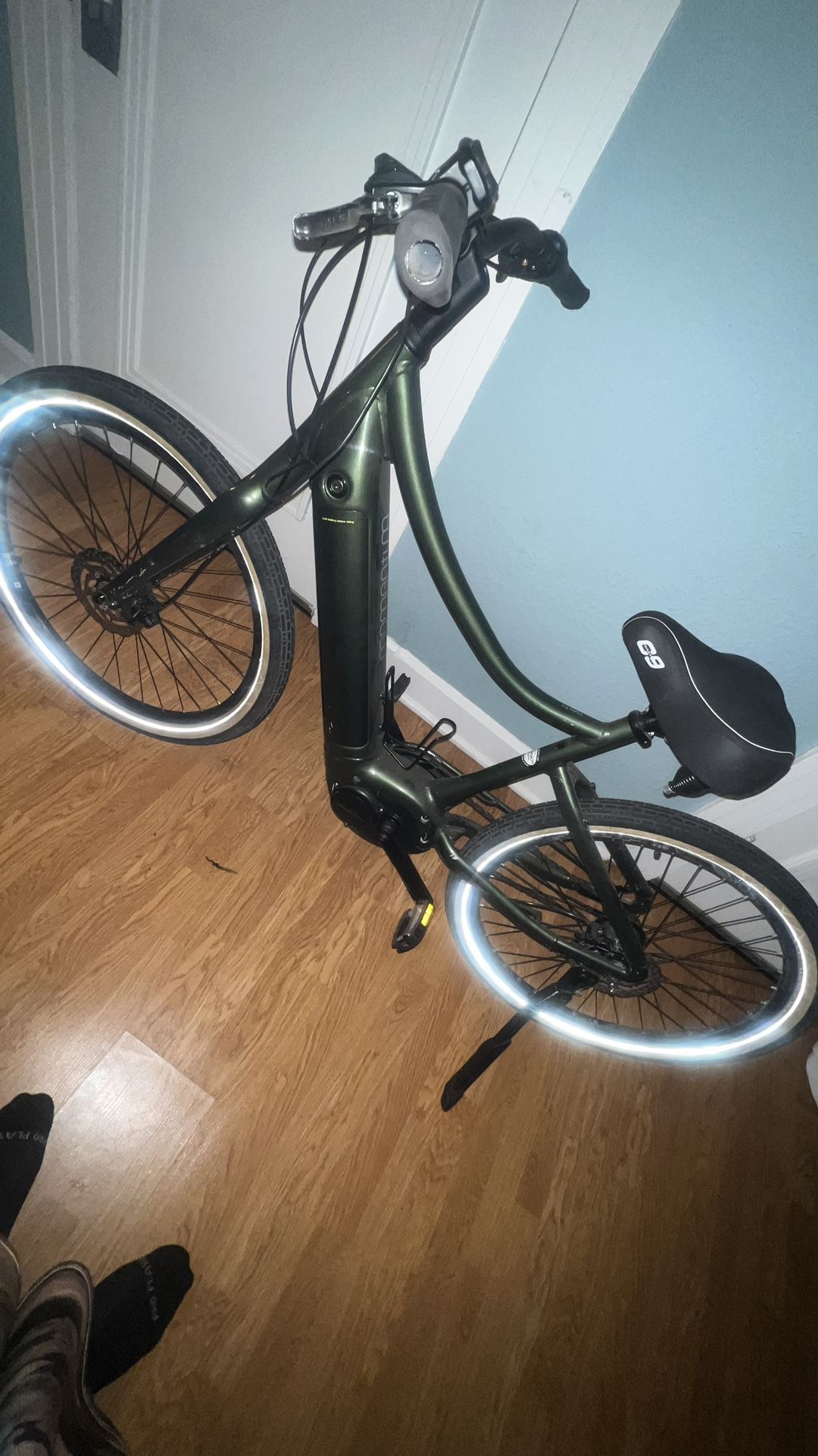 Momentum E-Bike