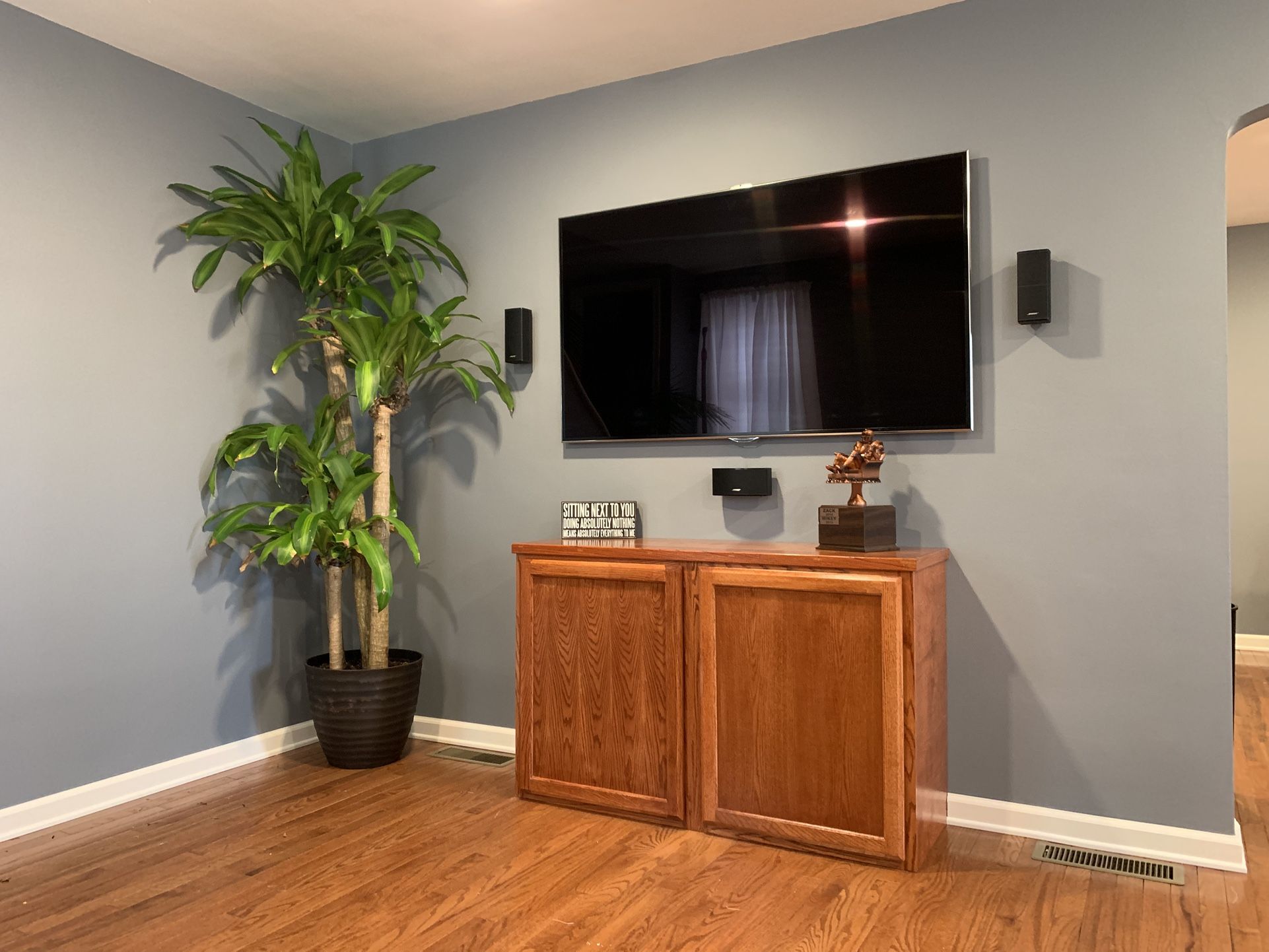 Bose Surround Sound
