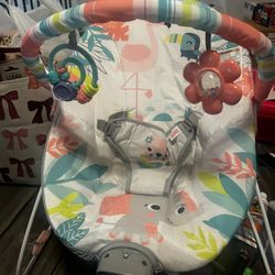 Baby Bouncer/ Vibrator 