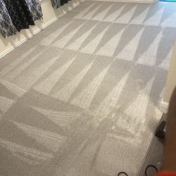 Carpet For Sale!