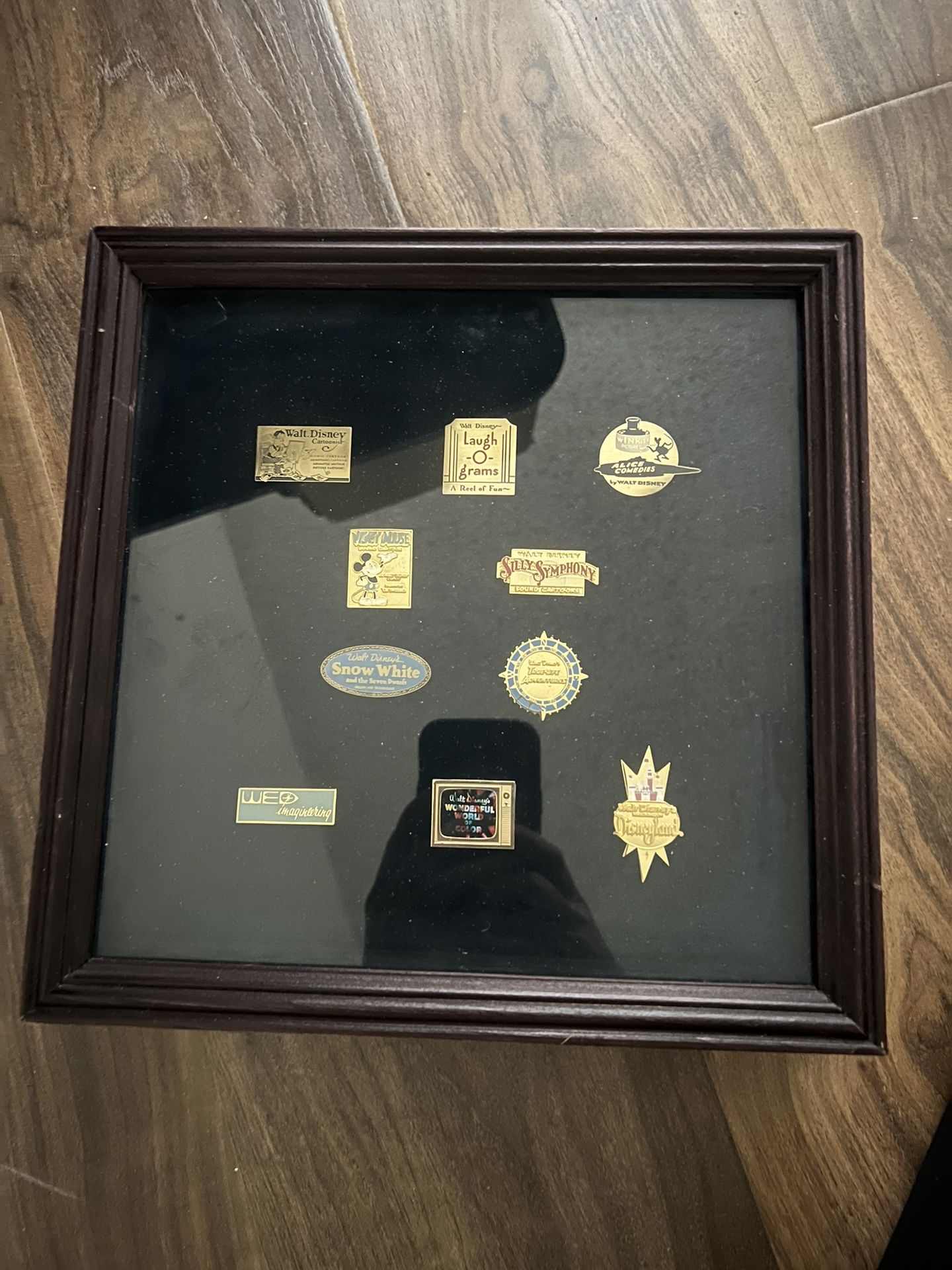 Disney Pin Collection In Shadow Box