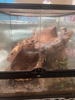 18x18x18 reptile tank