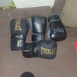 Everlast Boxing Gloves 14 Oz and 16 Oz