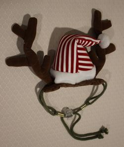 Pet Holiday Gear Thumbnail