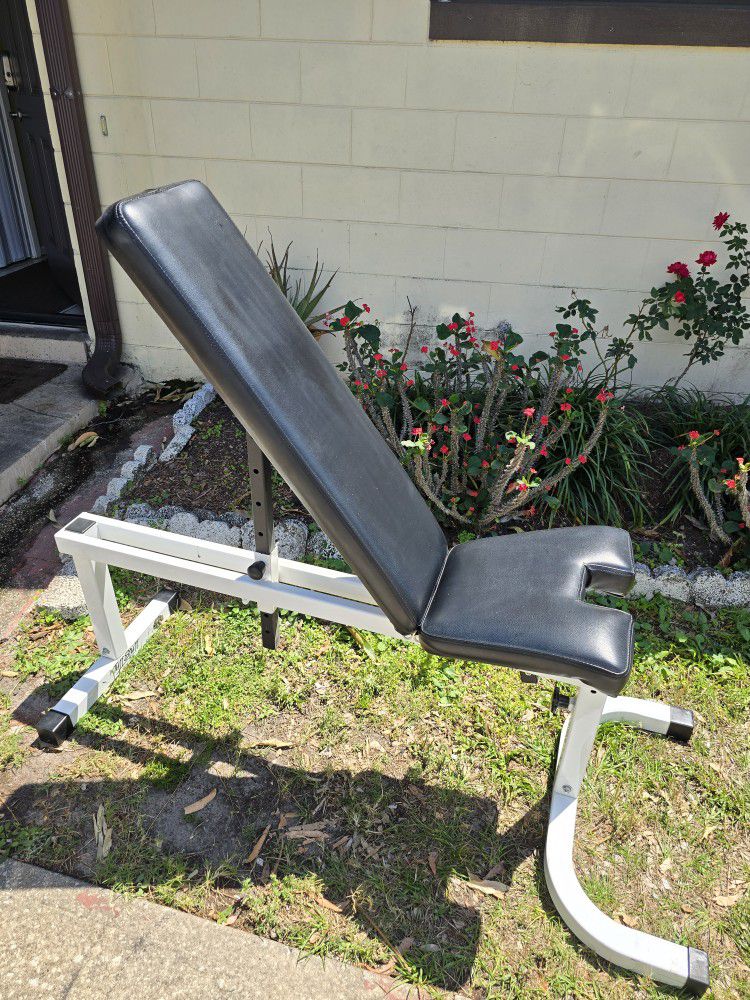 Weight Adjustable Bench
