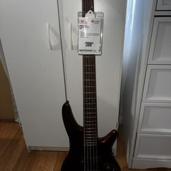 Electric Bass And Amp 