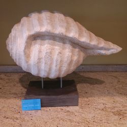 Shell On Stand Sculpture 