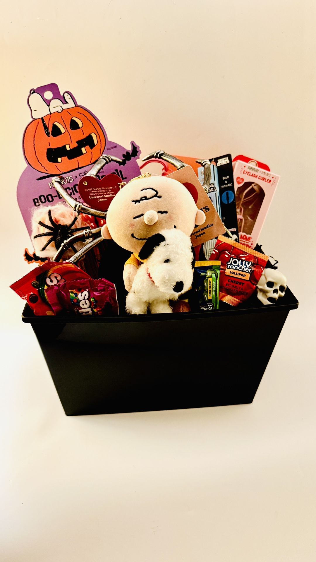 Snoopy Spooky Halloween Basket