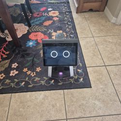 Amazon Astro Robot 