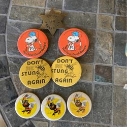 Pins 1.00 Ea./ Star Pin Is Sold