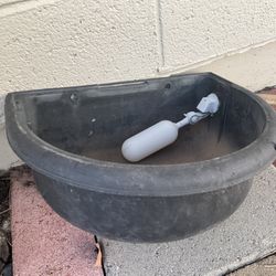 Dog Bowl And 4 Outlet