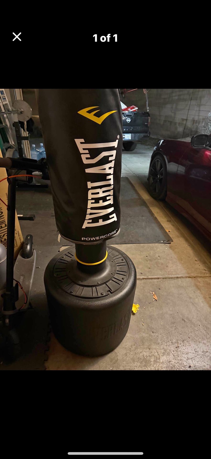 Powercore Punching Bag