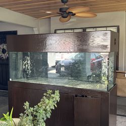 180g Reef Tank 