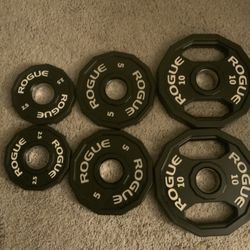 Rogue 12-Sided Urethane Grip Plates (Very Like New Condition)