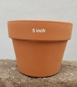 5 inch Terracotta Azalea